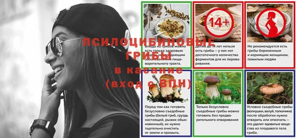 твердый Приозерск
